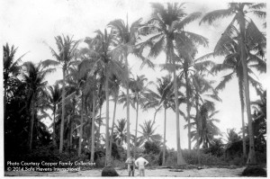 Staying_Alive_Plate_20-Bud_Cooper-1944-Pacific_Theater