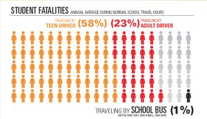 school bus seat belts